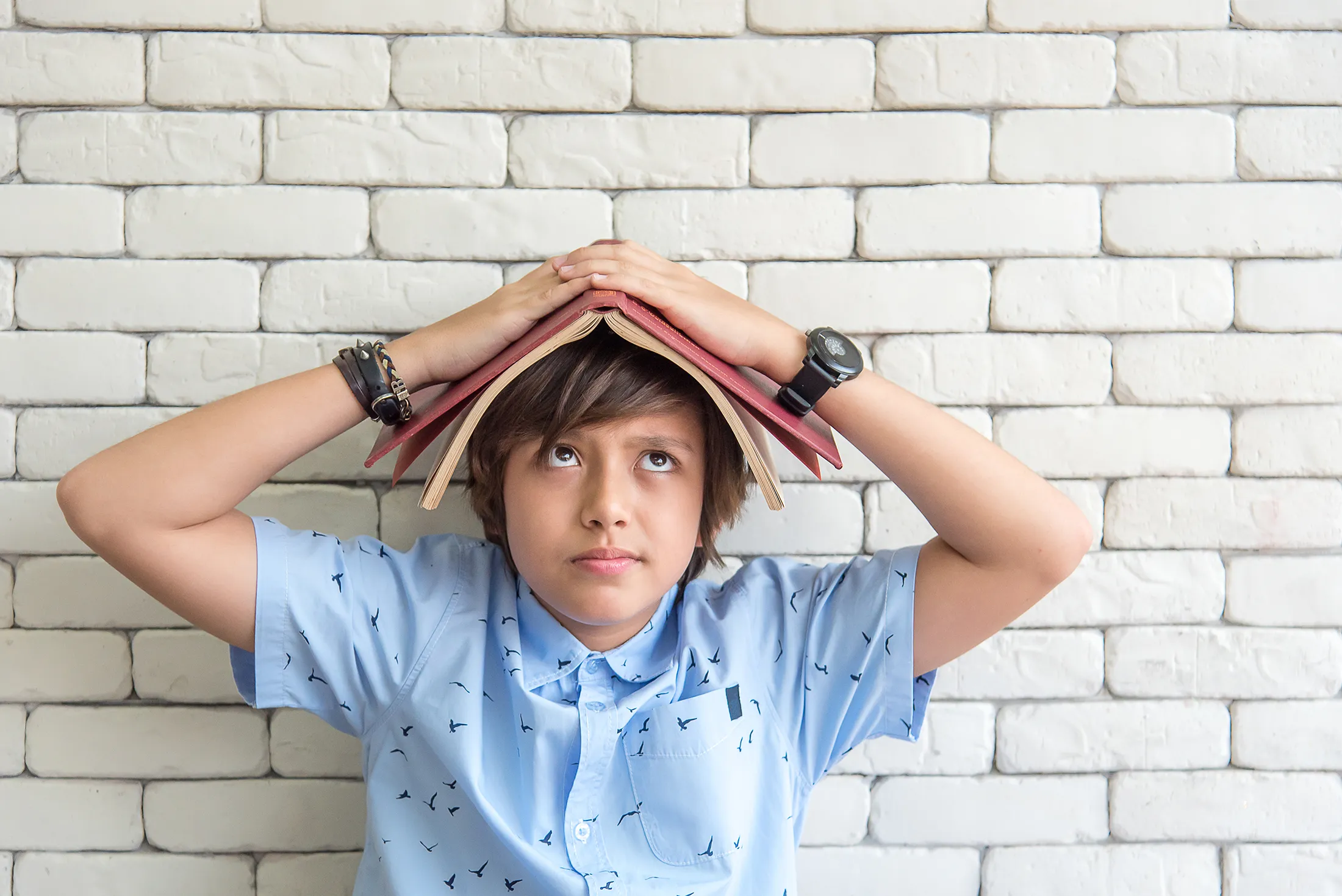 child-holding-book-over-head-in-playful-learning-moment-happy-bun-peds. Child holding an open book over their head like a roof while looking upward.